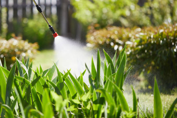 24/7 Emergency Wasp Removal experts in Oak Ridge North, TX