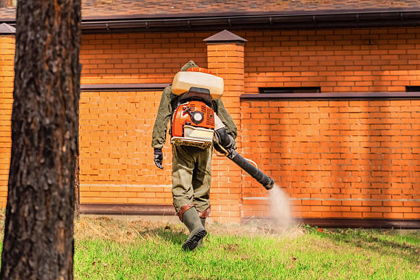 Top rated local Wasp Removal specialists in Oak Ridge North, TX